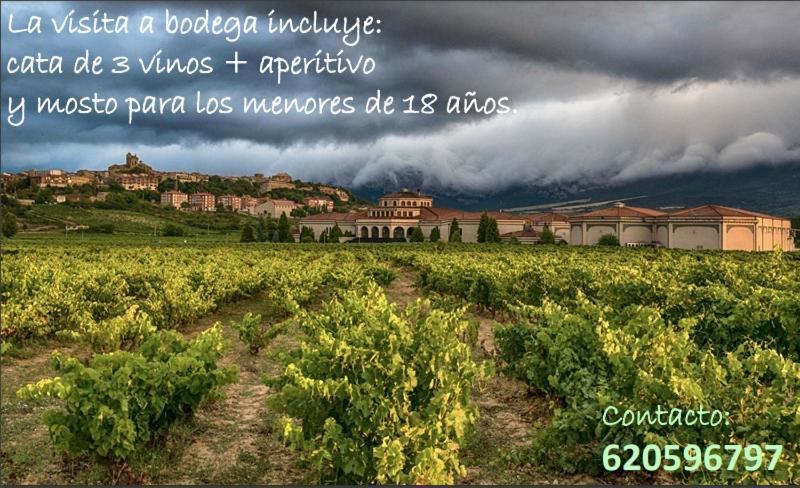 La Puerta De Viana, Con Desayuno, Piscina Y Posibilidad Visita A Bodega! Viana (Navarre)